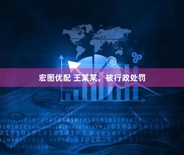 宏图优配 王某某，被行政处罚
